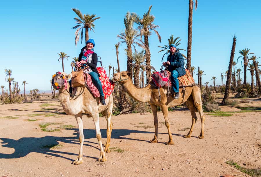 Marrakech: Half-Day Desert Quad Tour with Camel Ride - From your hotel to the dry country outside Marrakech