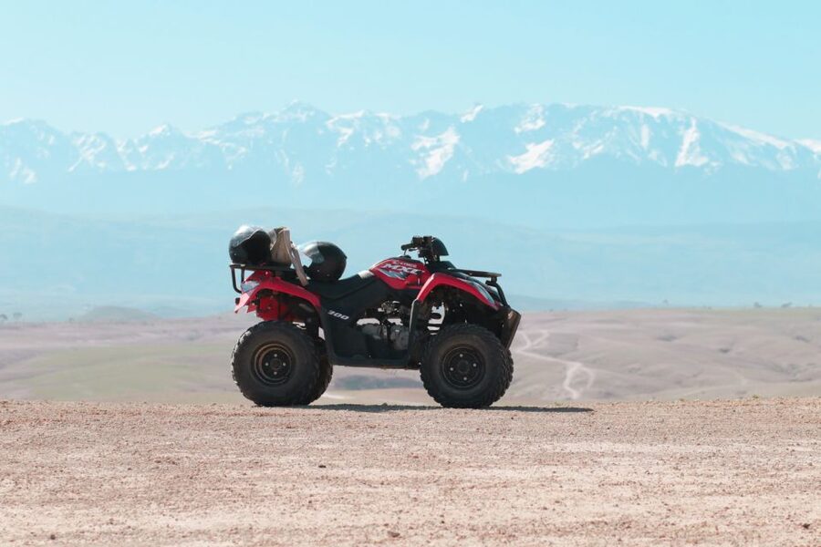 Marrakech: Half-Day Desert Quad Tour with Camel Ride - How the animal side of the tour feels