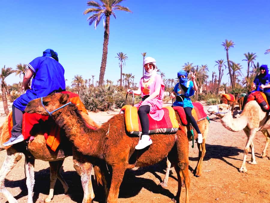 Marrakech: Half-day Dunes Trip With Buggy and Camel Ride - Key points to know before booking
