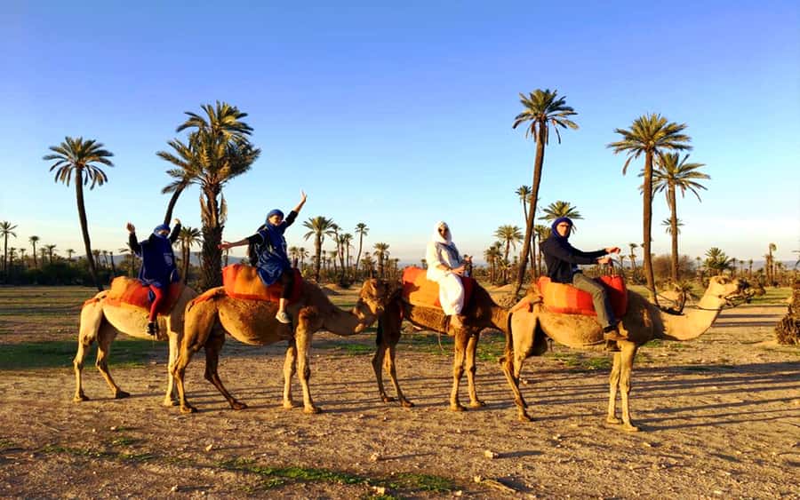 Marrakech: Half-day Dunes Trip With Buggy and Camel Ride - What this half-day Marrakech outing really offers