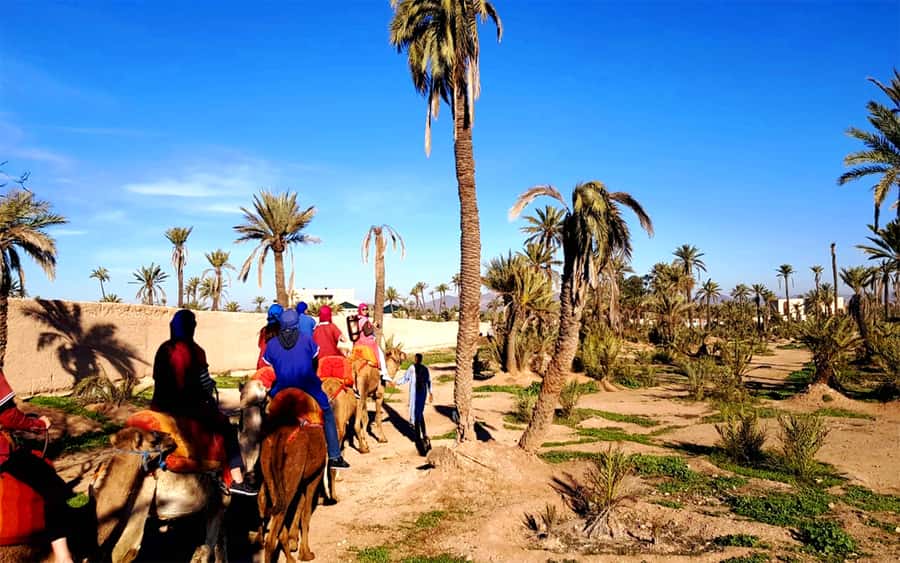 Marrakech: Half-day Dunes Trip With Buggy and Camel Ride - The 1-hour-45-minute buggy ride