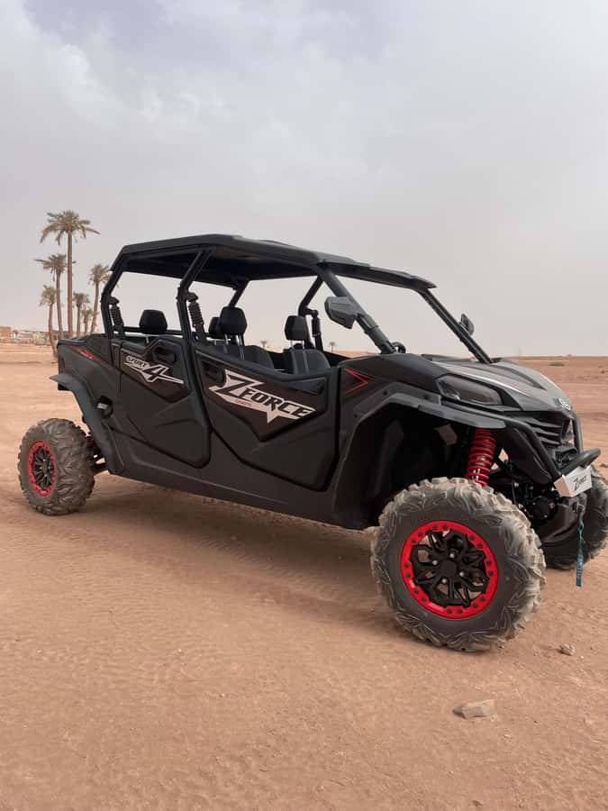 Marrakech: Half-day private tour in a 1000cc buggy in the Agafay Desert - Service that helps the day run smoothly