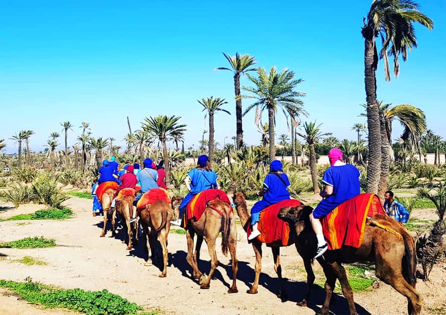 Marrakech: Half-Day Tour with Buggy Ride, Camel Ride and Spa - Who should book this Marrakech experience?