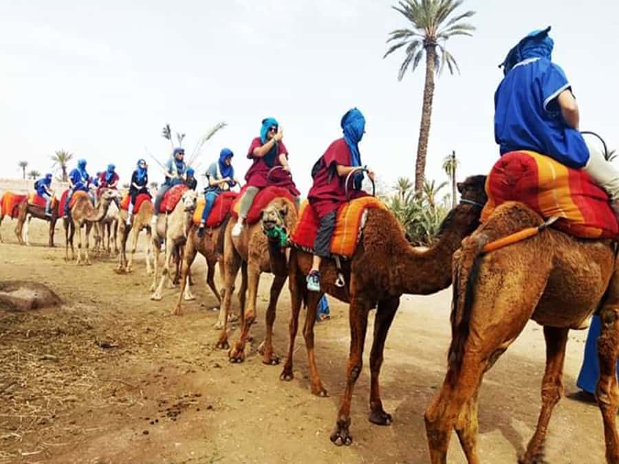 Marrakech: Half-Day Tour with Buggy Ride, Camel Ride and Spa - The Berber village stop before the engines start