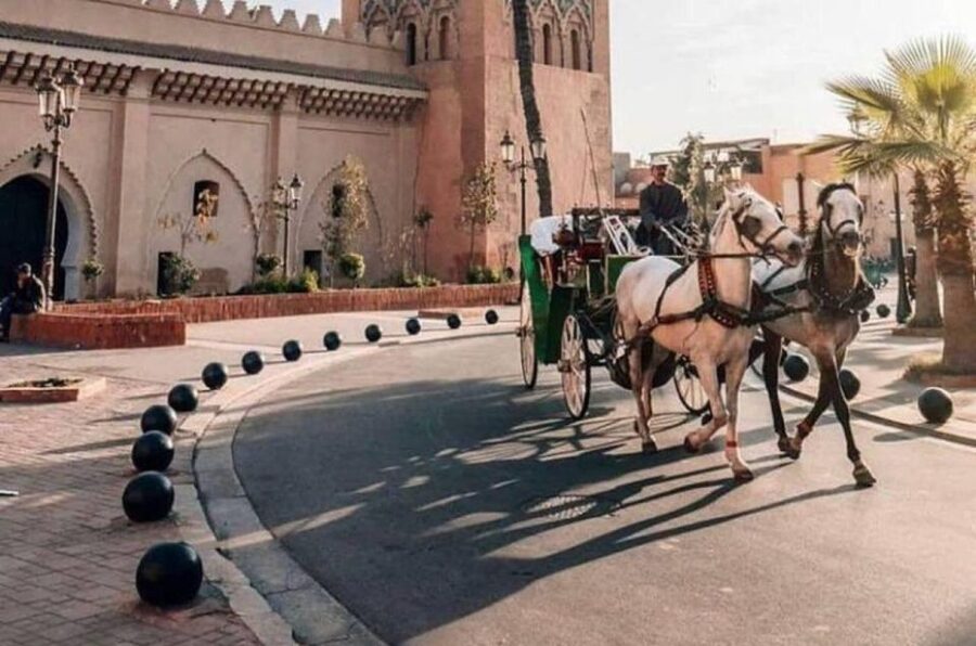 Marrakech: Hidden Souks Shopping Tour with Private Guide - Souk Laksour and a second chance to browse