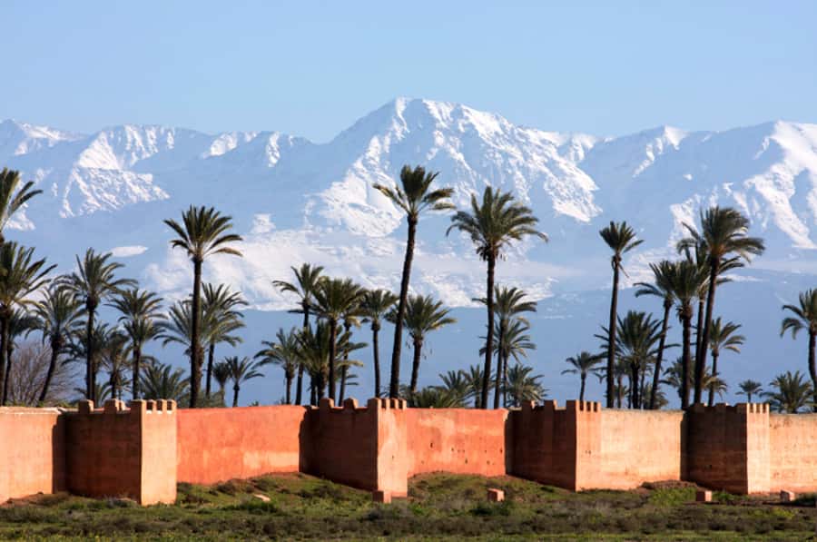 Marrakech: Horse-Drawn Carriage Tour - Is $44 good value for two hours?