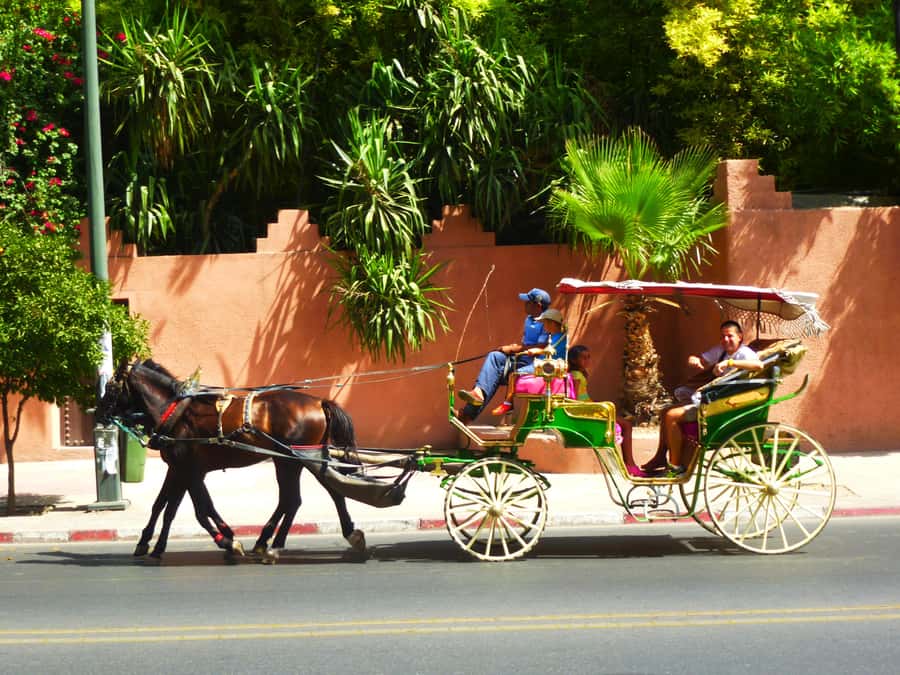 Marrakech: Horse-Drawn Carriage Tour - From Marrakech’s ramparts to the Medina gates