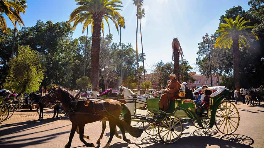 Marrakech: Horse-Drawn Carriage Tour - Hivernage gives you a modern contrast