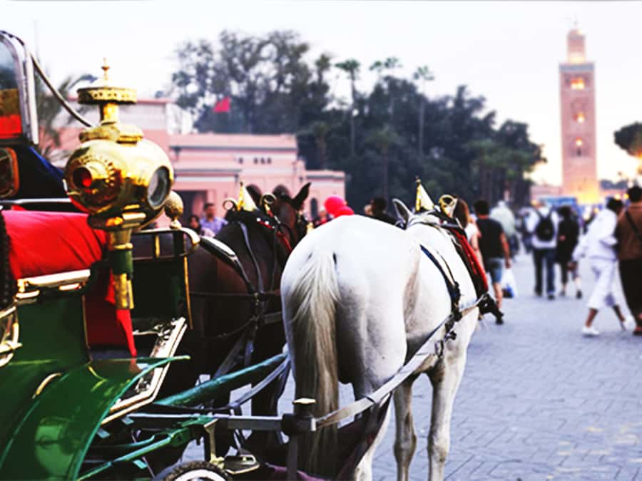 Marrakech: Horse-Drawn Carriage Tour - What the guide service is really like