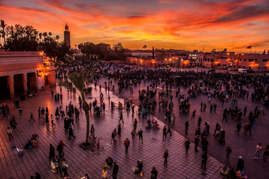 Marrakech: Jemma El Fnaa Food Tour with Dinner - Key points at a glance
