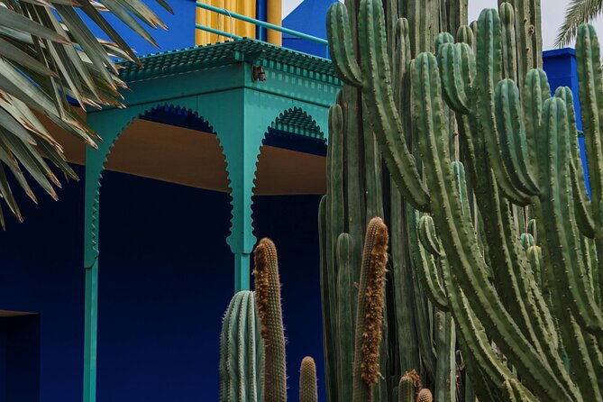 Marrakech Majorel garden entry ticket - What you actually see inside Majorelle Garden