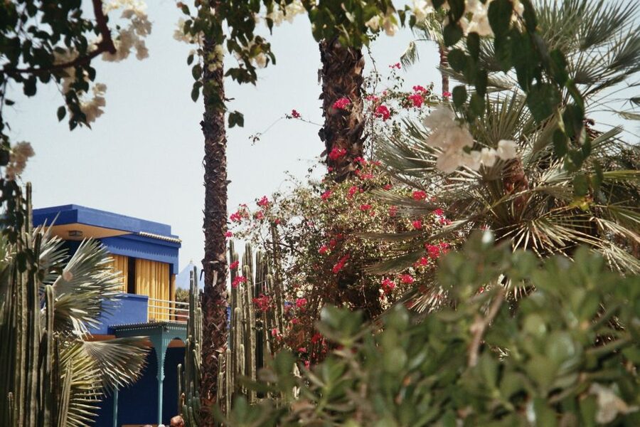 Marrakech: Majorelle Garden Entry Tickets Online - What the Majorelle Garden experience is really like