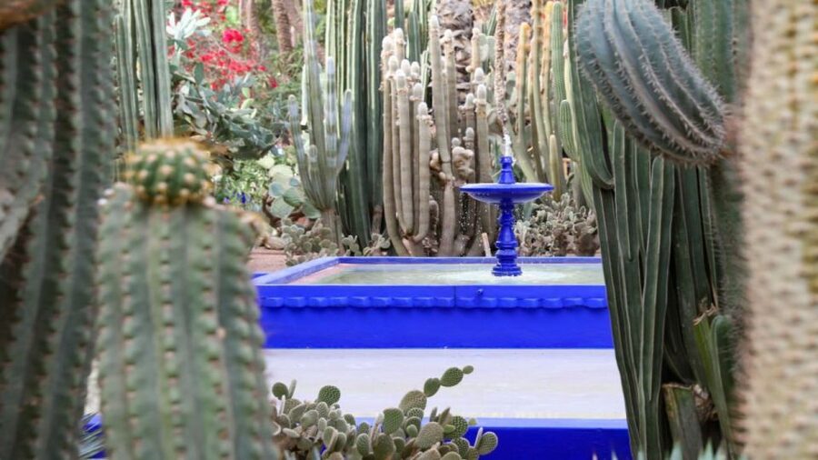 Marrakech: Majorelle Garden Entry Tickets Online - Shade, fountains, and cactus gardens