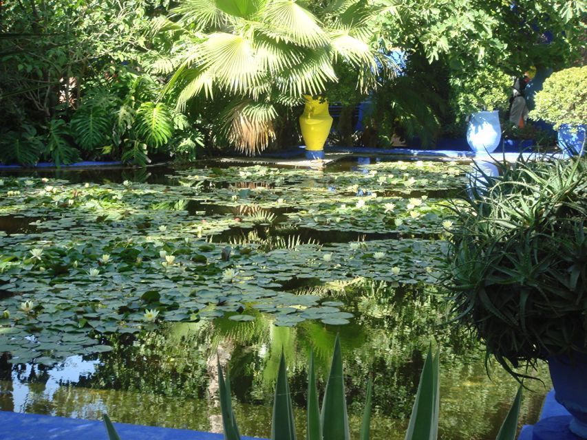 Marrakech: Majorelle Garden Entry Tickets Online - Who will enjoy this garden most?