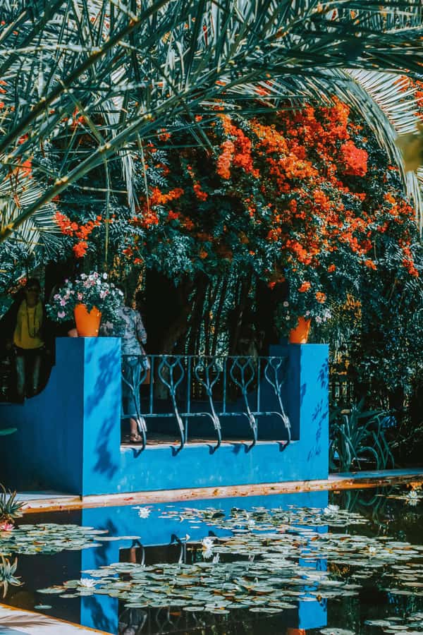 Marrakech: Majorelle Garden, Museums Tickets, & Audio Guide - Who will enjoy this experience most?