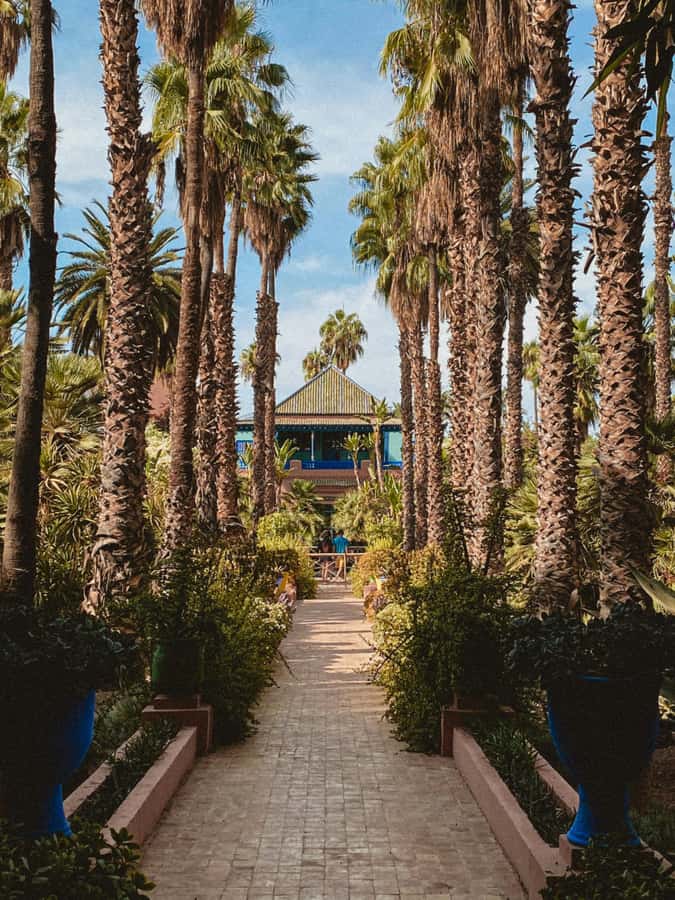 Marrakech: Majorelle Garden, Museums Tickets, & Audio Guide - What you see along the garden paths