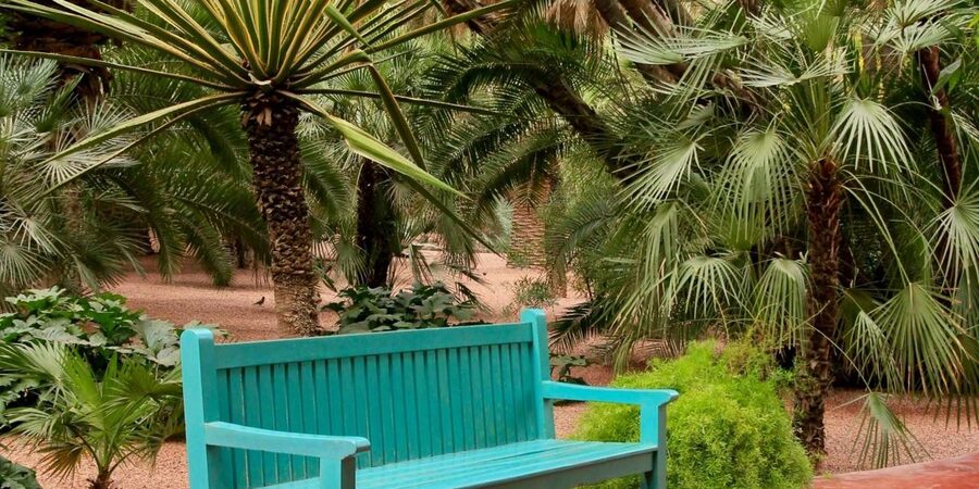 Marrakech: Majorelle Garden, YSL, and Berber Museum Entry - What to expect at the Yves Saint Laurent Museum