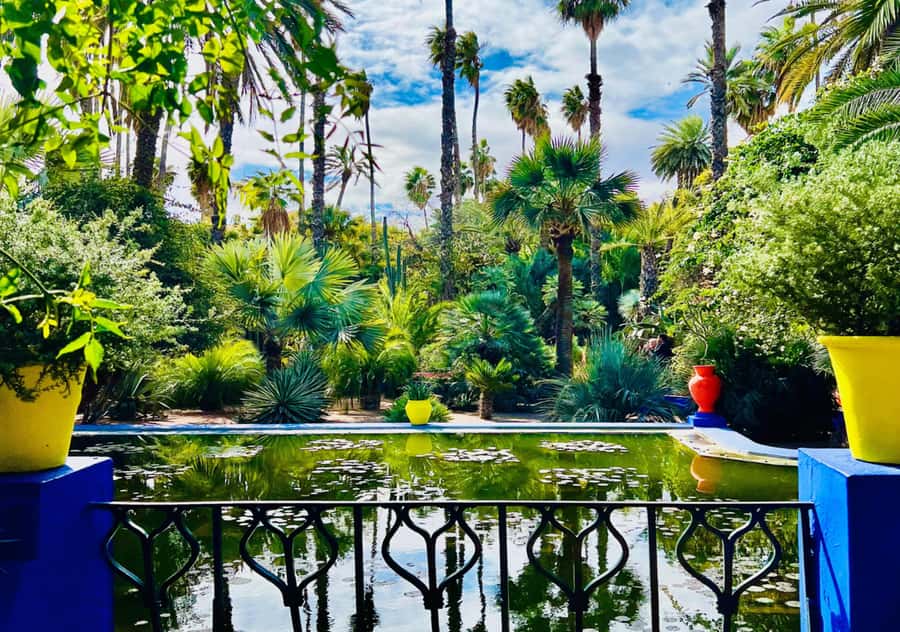 Marrakech: Majorelle & Menara Garden Tour and Carriage Ride - Key points at a glance