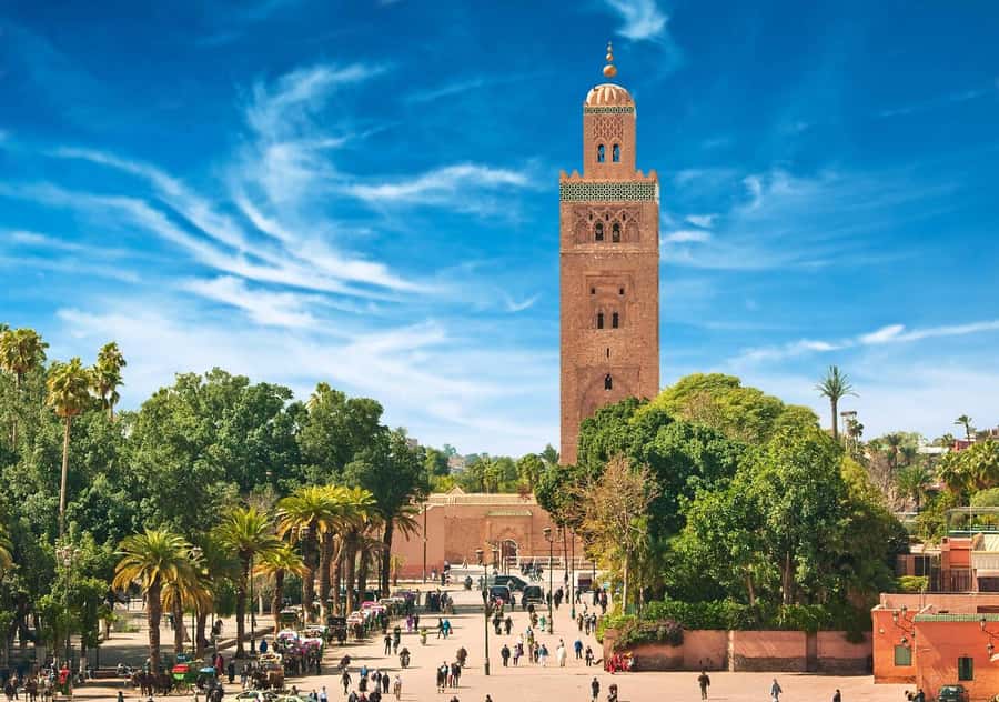 Marrakech: Majorelle & Menara Garden Tour and Carriage Ride - My final booking advice