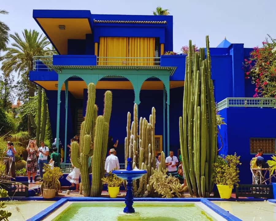 Marrakech: Majorelle & Menara Garden Tour and Carriage Ride - Majorelle Garden: the clear star of the morning