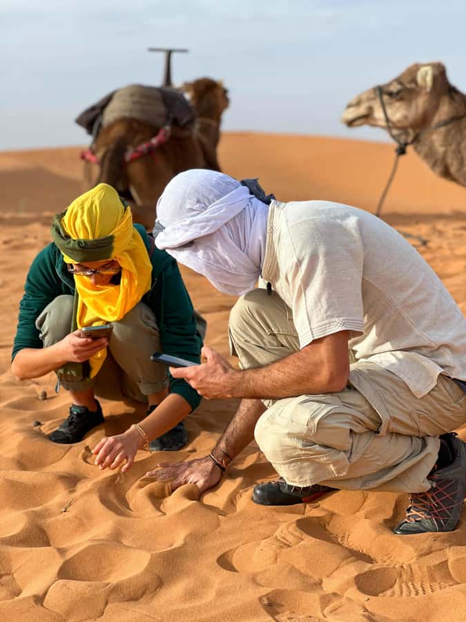 Marrakech/Ouarzazate: 2-Day Desert with Camel, 4x4 & Meals - Key points before you book