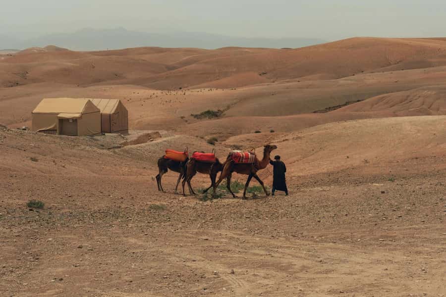 Marrakech/Ouarzazate: 2-Day Desert with Camel, 4x4 & Meals - Through Agdez and the Draa Valley