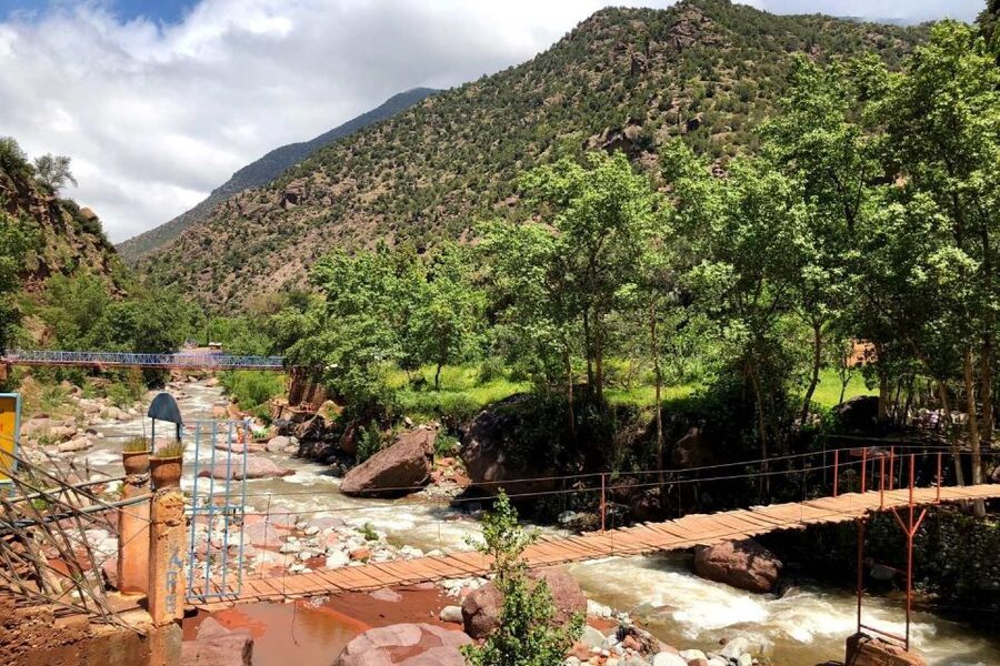 Marrakech: Ourika Valley and Atlas Mountains Day Trip - Lunch beside the Ourika River