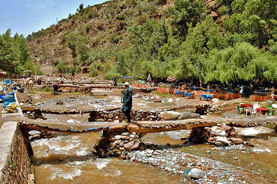 Marrakech: Ourika Valley and Atlas Mountains Day Trip - The guides and drivers shape the day