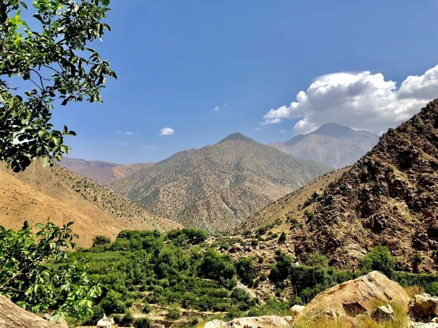 Marrakech: Ourika Valley & Atlas Mountains Half-Day Trip - Tea beside the Ourika River