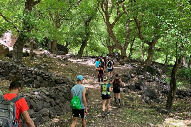 Marrakech: Ourika Valley, Atlas Mountains, Waterfalls & Lunch - What to bring for the mountain day