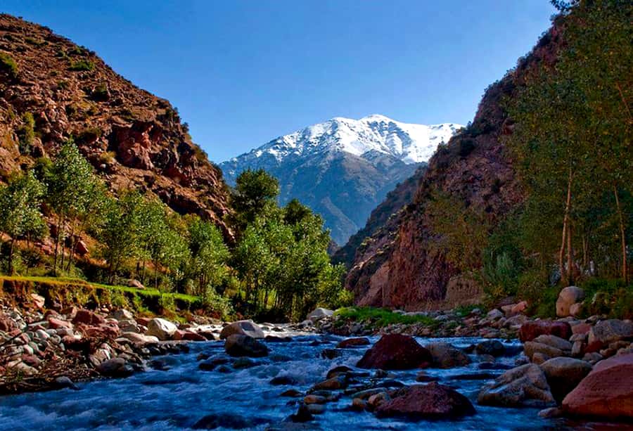 Marrakech: ourika valley Atlas Mountains & Waterfalls Trip - Tea inside a traditional Berber home
