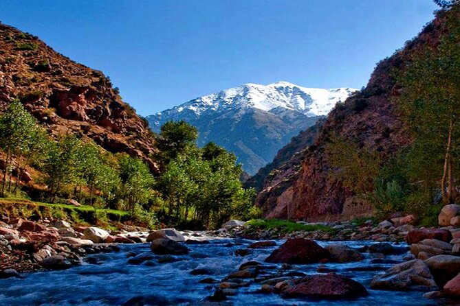 Marrakech: Ourika Valley, Atlas Waterfalls with Guide &Lunch - A riverside lunch in the valley