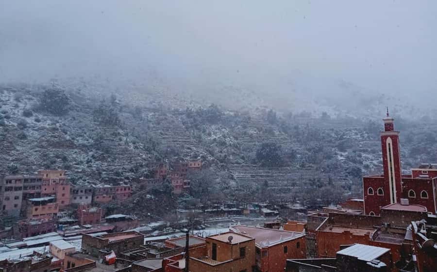 Marrakech: Ourika Valley Day Trip with Berber Village - How the $10 price holds up