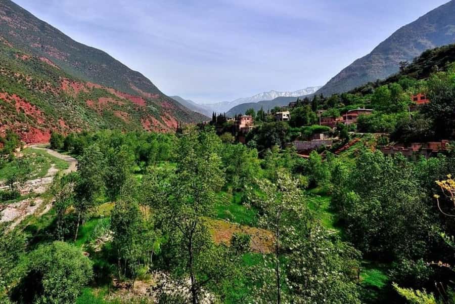 Marrakech: ourika valley lunch & guided hike to waterfalls - Setti Fatma, village life, and the start of the hike
