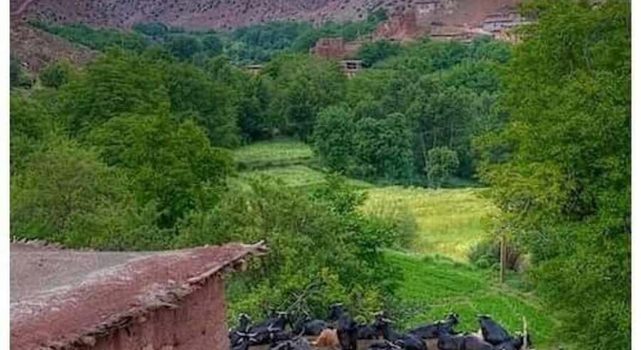 Marrakech: ourika valley lunch & guided hike to waterfalls - Lunch beside the Ourika River
