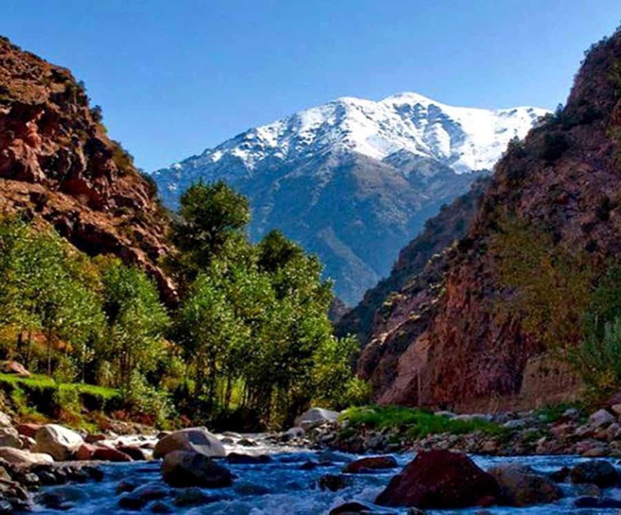 Marrakech: Ourika Valley,Waterfalls, Atlas Luxury Day trip - Setti Fatma and the decision to hike