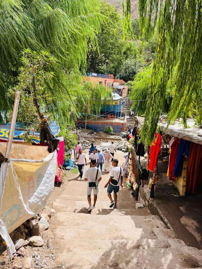 Marrakech: Ourika Valley Waterfalls & guided hike - Who should book this day trip?