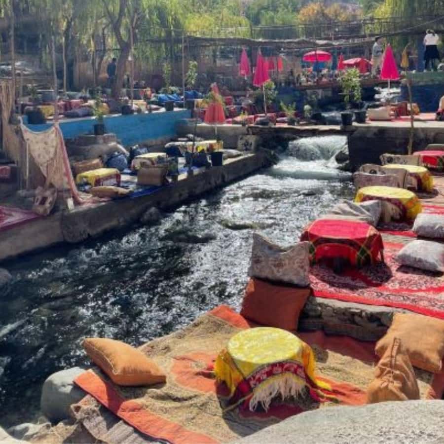Marrakech: Ourika Valley & Waterfalls Guided Tour with Lunch - What the day feels like in practice