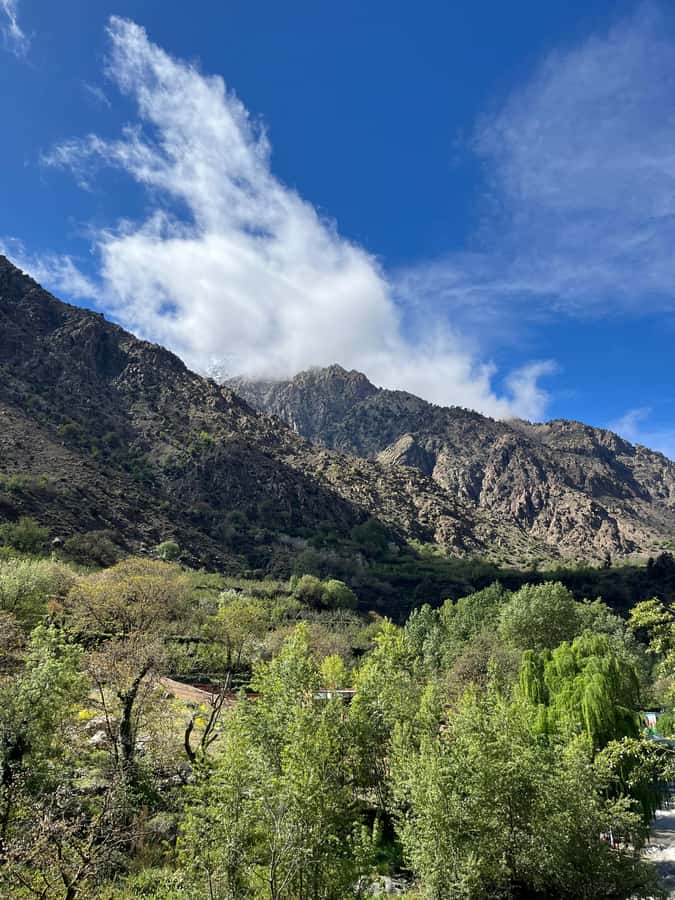 Marrakech: Ourika Valley Waterfalls Hike & Traditional Lunch - Is $25 good value for seven hours?