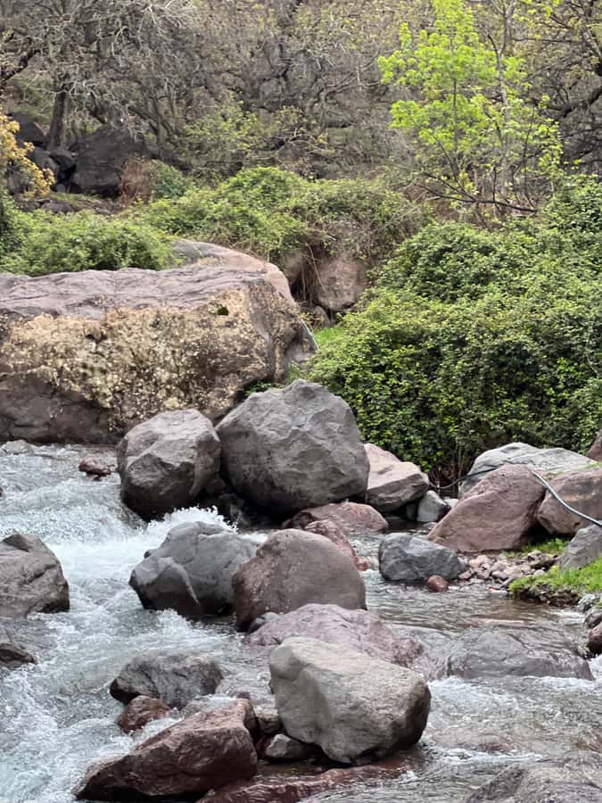 Marrakech: Ourika Valley Waterfalls Hike & Traditional Lunch - Who will enjoy this mountain day trip?