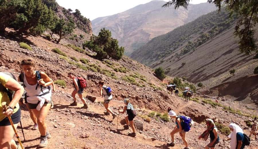 Marrakech: Ourika Valley waterfalls with guide& Berber lunch - Berber Villages and a Slower Mountain Rhythm