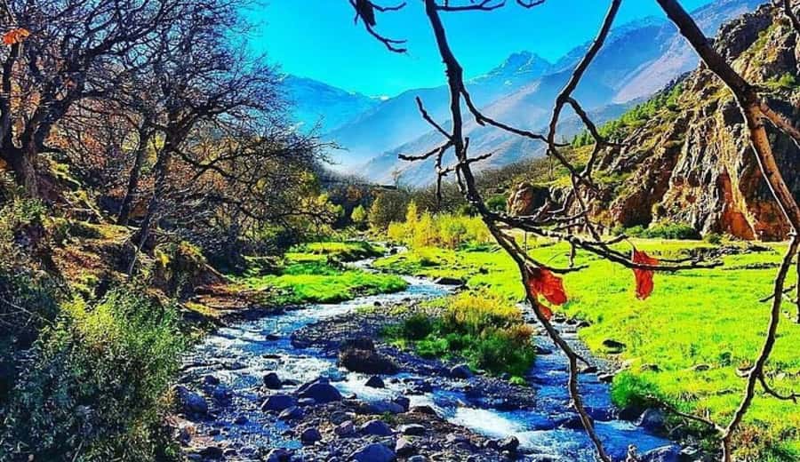 Marrakech: Ourika Valley waterfalls with guide& Berber lunch - Who Will Enjoy This Day Most?