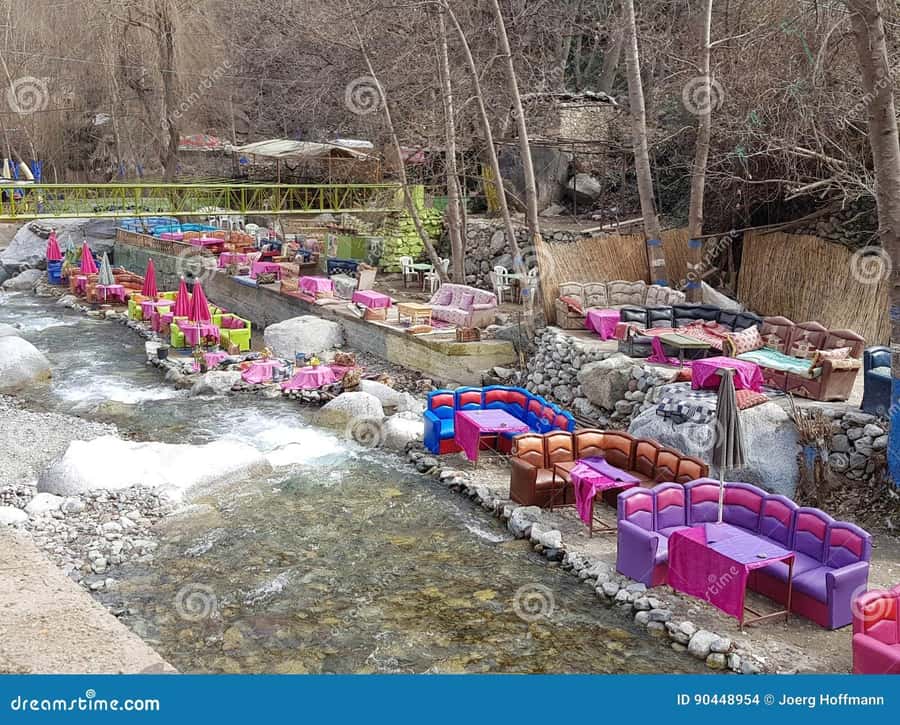 Marrakech: Ourika Valley with guid + lunch +Atlas Mountains - The guide can shape the whole day