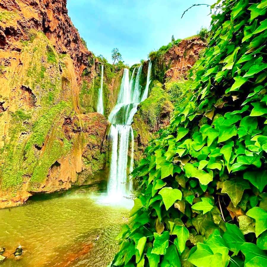 Marrakech: Ouzoud Waterfall, Guided Hike, Boat Ride & Lunch - Who should book this Ouzoud excursion?