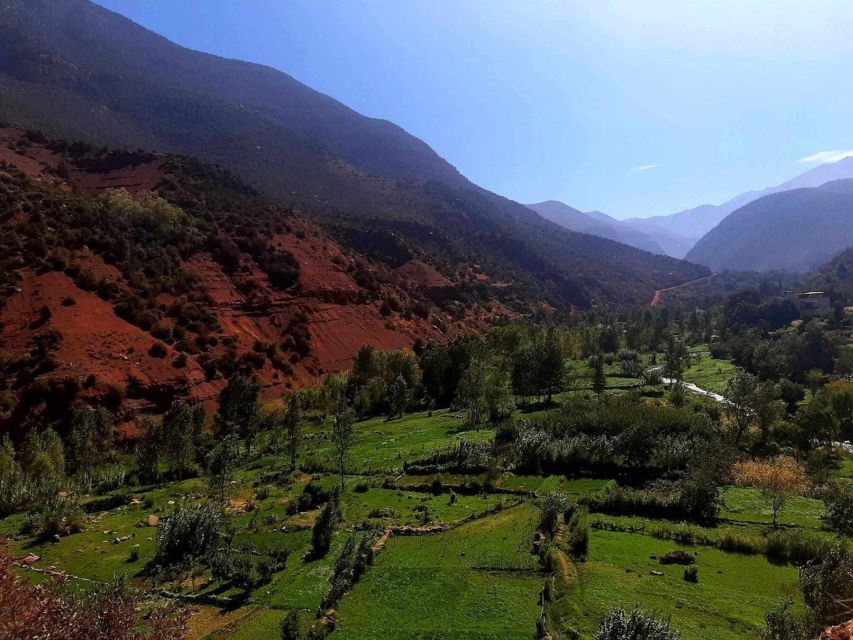 Marrakech: Ouzoud Waterfall, Guided Hike, Boat Ride & Lunch - Monkey spotting along the Ouzoud paths