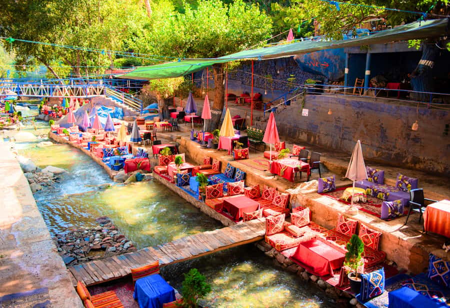Marrakech: Ouzoud Waterfalls Trip, Guide & Boat + Lunch - Barbary macaques and the valley views