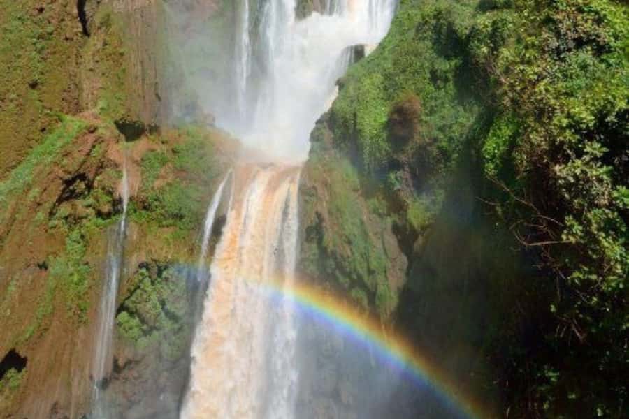 Marrakech: Ouzoud Waterfalls Trip, Guided Hike & Boat Option - Walking beneath olive trees