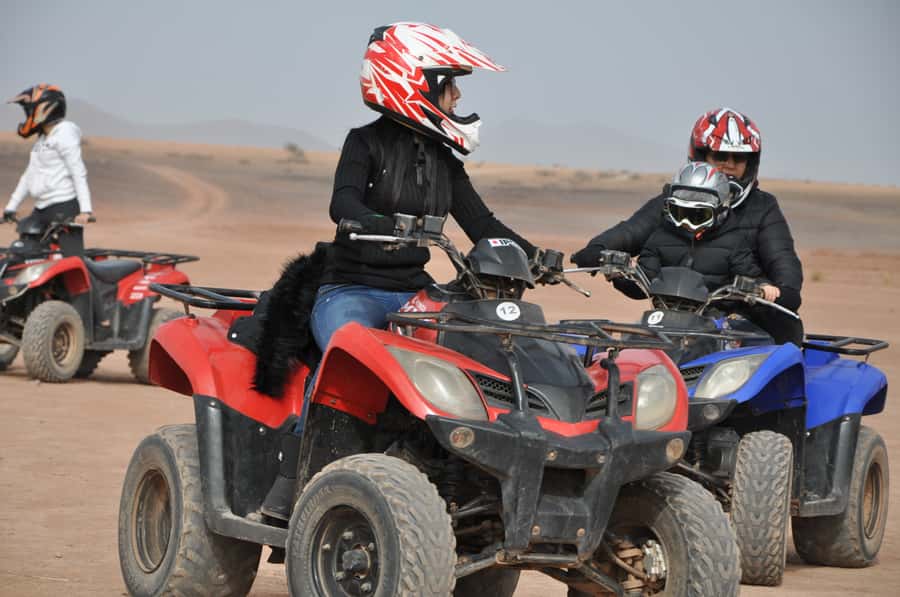 Marrakech: pack quad and camel ride in the palm grove - Photo stops in the palm grove