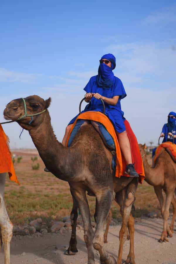 Marrakech: pack quad and camel ride in the palm grove - The 15-minute camel ride