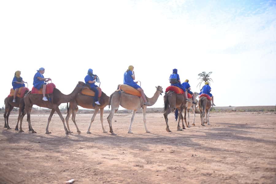 Marrakech: pack quad and camel ride in the palm grove - Pickup from the medina and the 30-minute drive